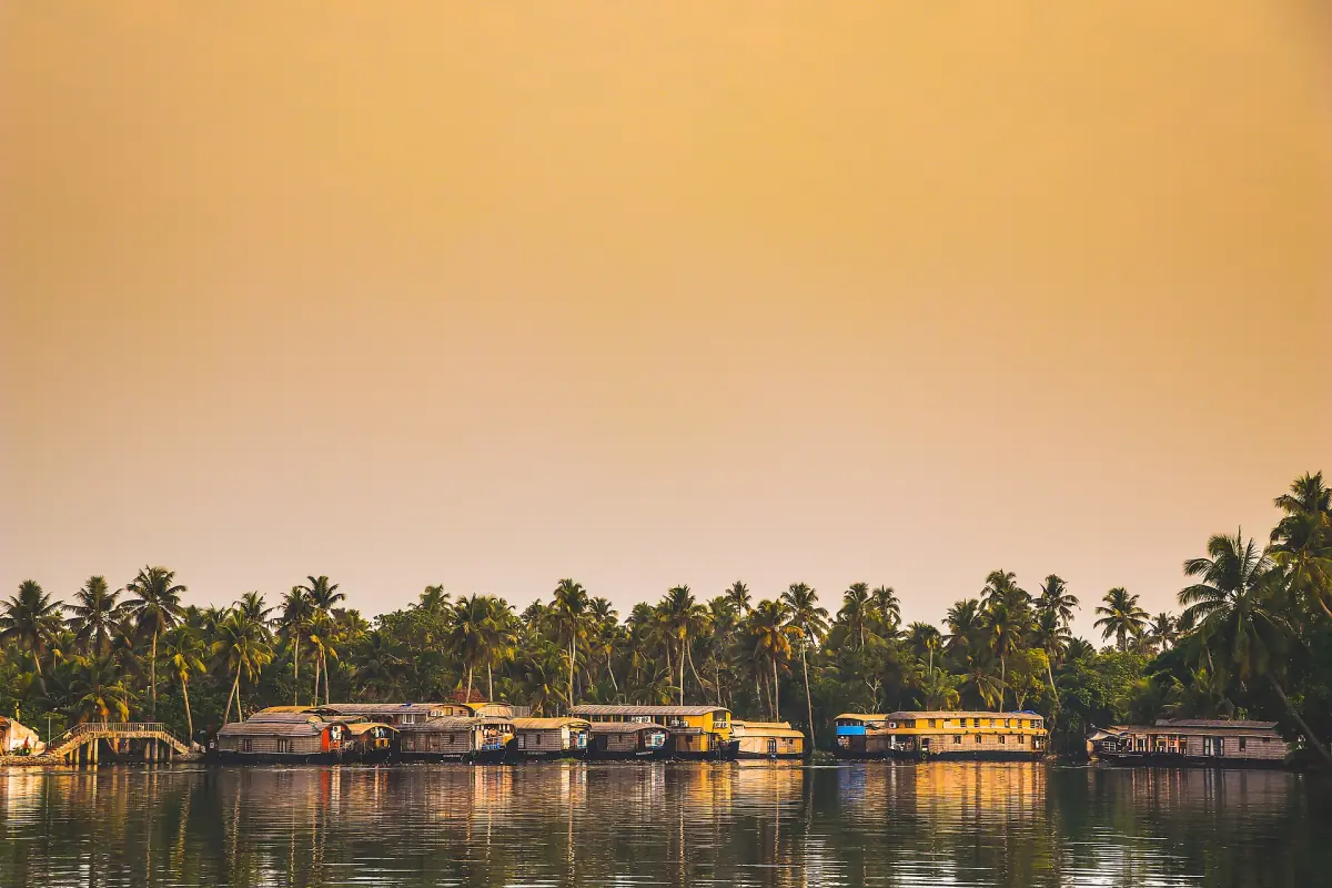 Row of moored houseboats along a palm-lined shore in golden dusk light at Alleppey