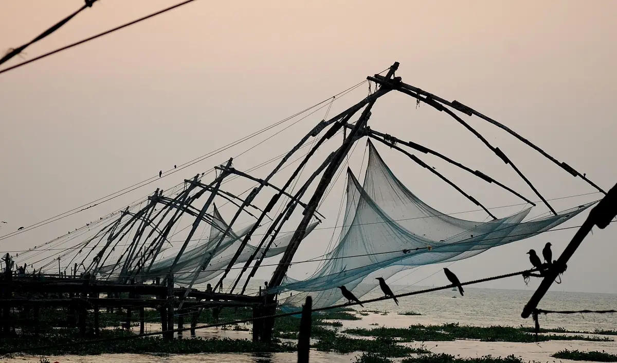 Chinese fishing nets silhouetted at dusk at Fort Kochi with birds perched on the frame