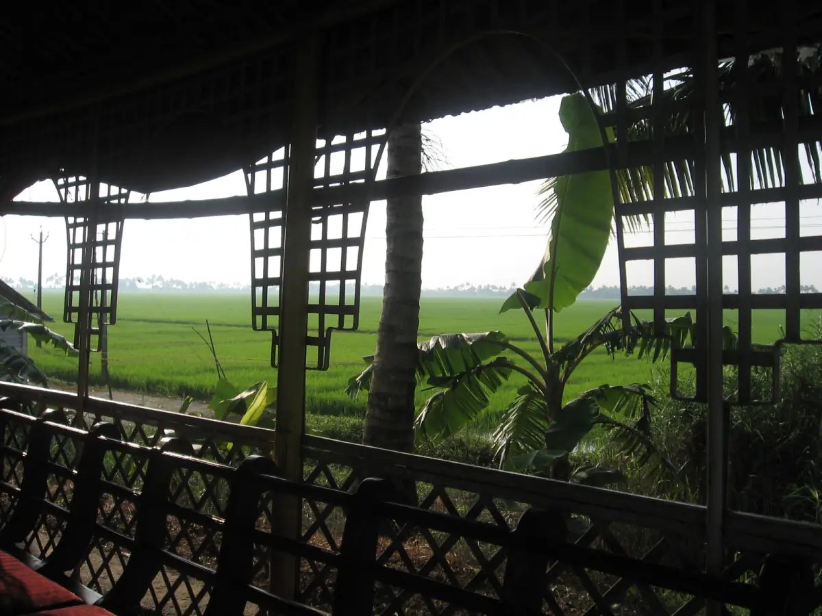 View from a houseboat through wooden lattice to green paddy fields and banana plants