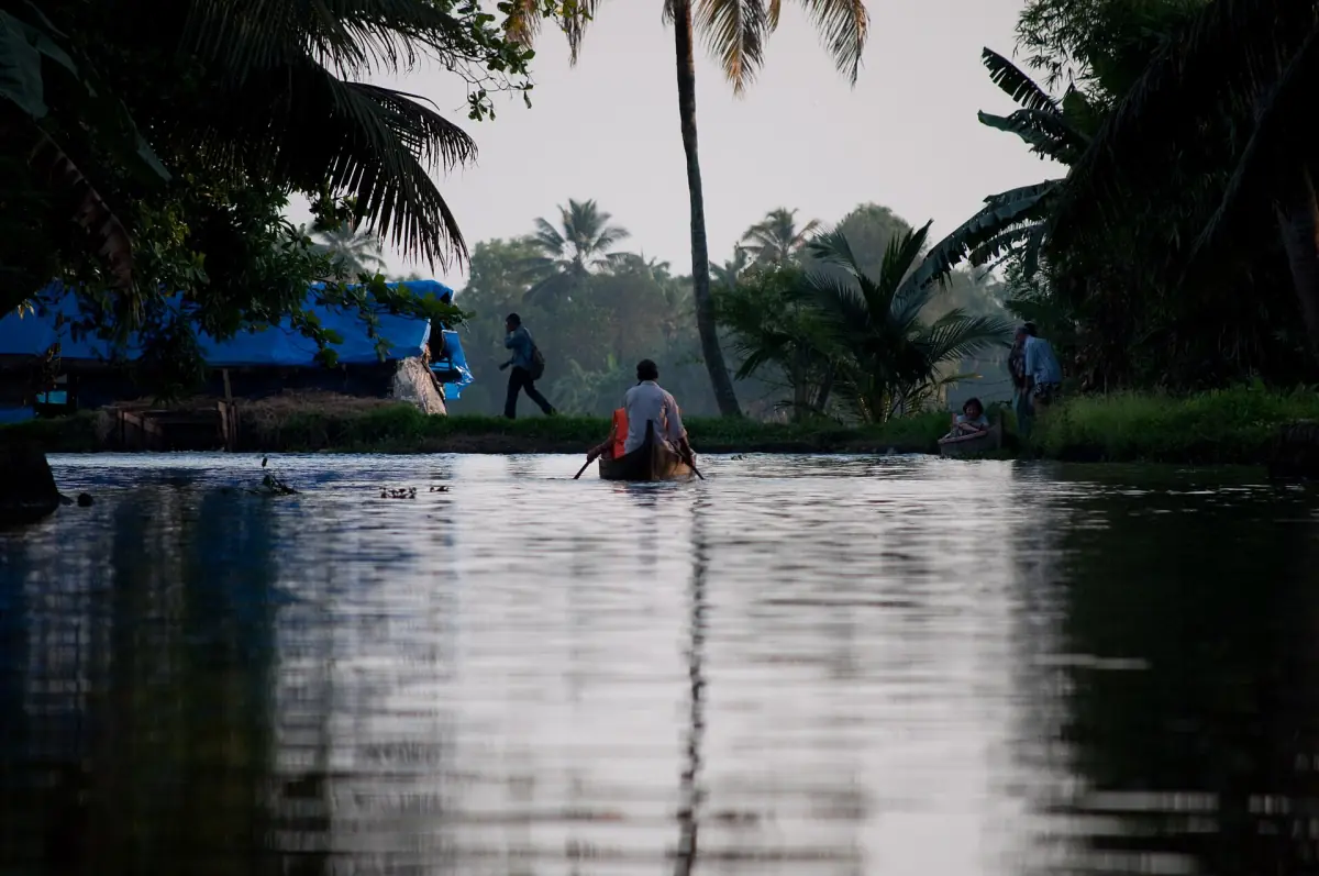 Boatman paddling a narrow wooden canoe along a shaded Kerala backwater bank