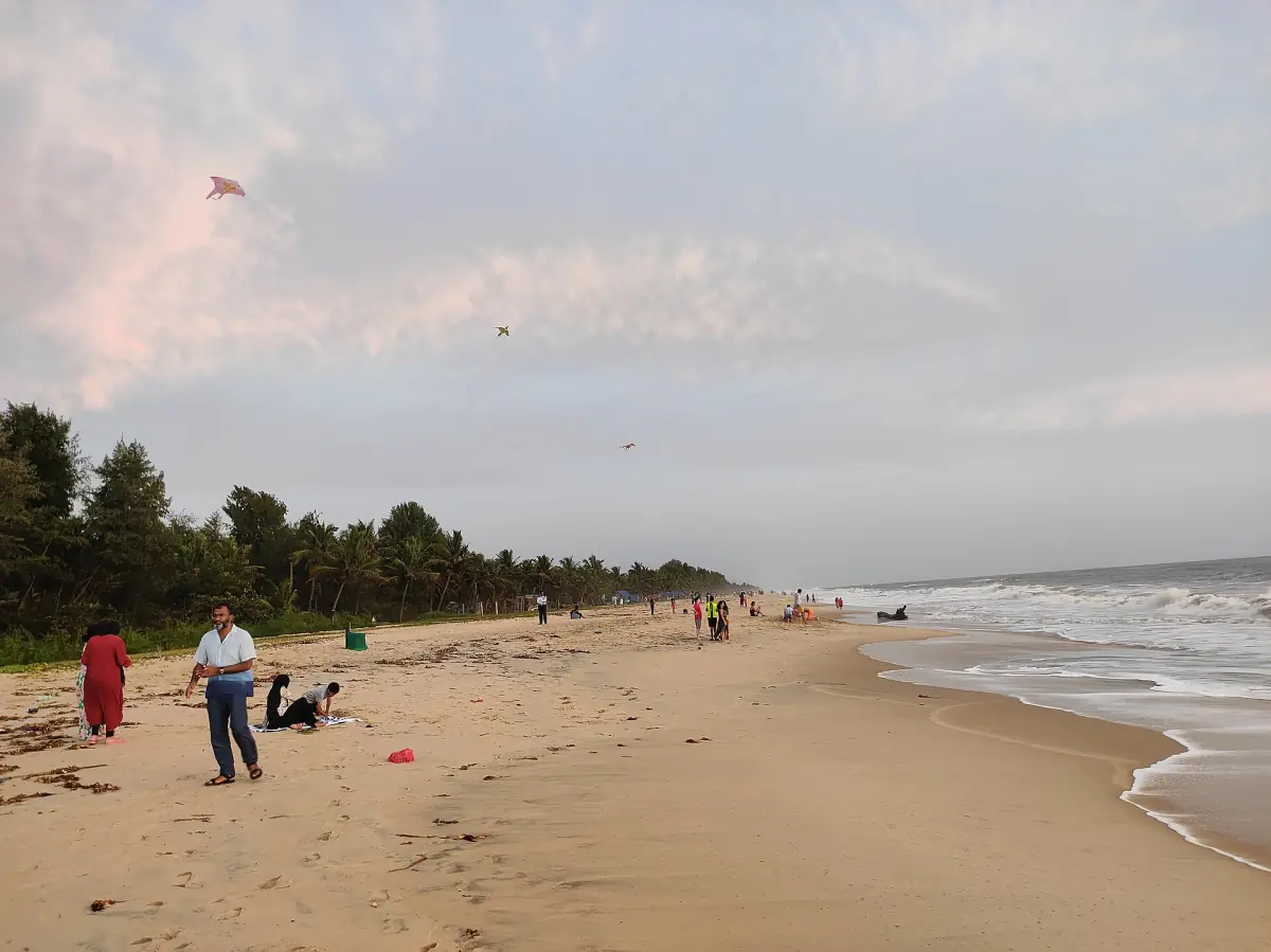 Long sandy shore at Marari beach fringed by coconut palms with a few walkers